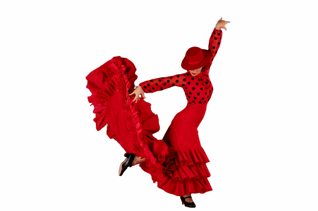 Flamenco + Dîner + DJ + Boisson in Malaga